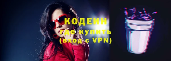 мдпв Елизово