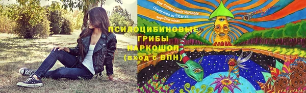 мдпв Елизово
