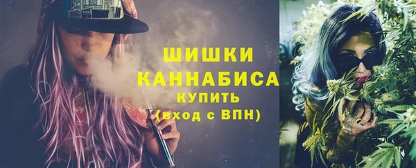 бошки Ельня