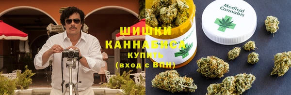 бошки Ельня