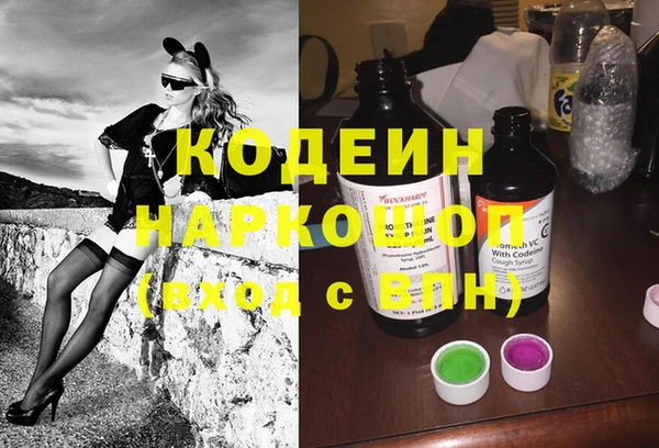 мдпв Елизово