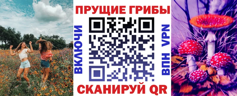 Псилоцибиновые грибы Psilocybe  Купить  Кыштым 
